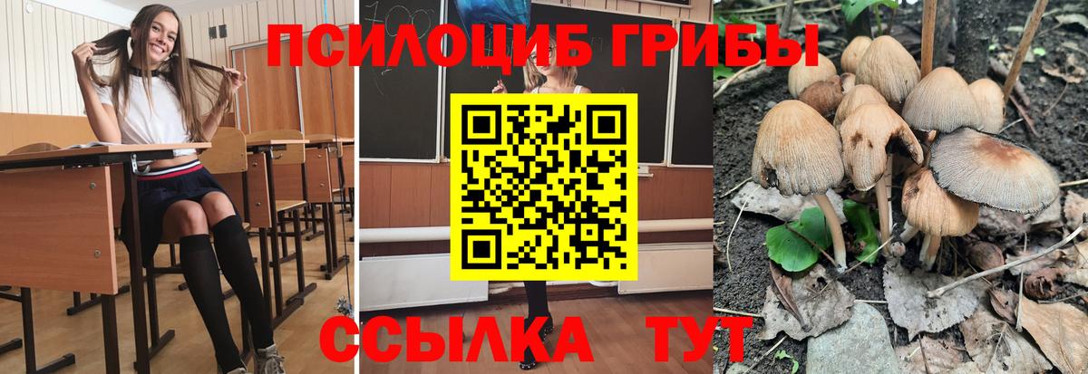 Псилоцибиновые грибы Cubensis  Вход с VPN  Галлюциногенные грибы Psilocybine cubensis  Лыткарино 