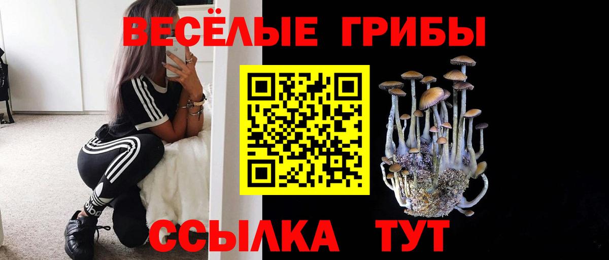 Псилоцибиновые грибы MAGIC MUSHROOMS Лыткарино